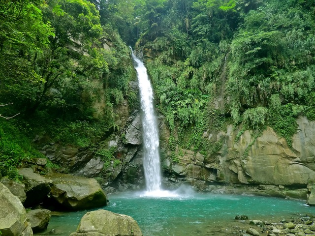 האם טייוואן שייכת לסין? השאלה הזאת לא הוכרעה עד היום. בתמונה: ג'ונגלים בטייוואן.